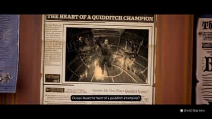 Harry Potter Quidditch Champions