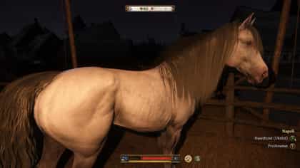Kingdom Come: Deliverance 2