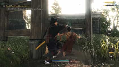 Rise Of The Ronin