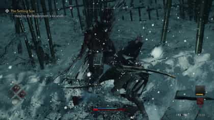 Rise Of The Ronin
