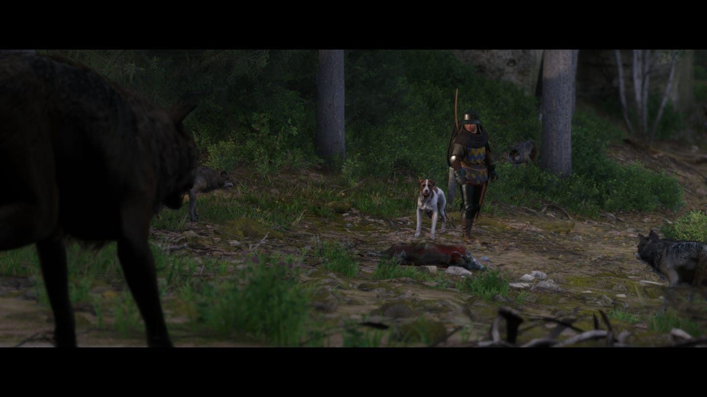 Kingdom Come: Deliverance 2