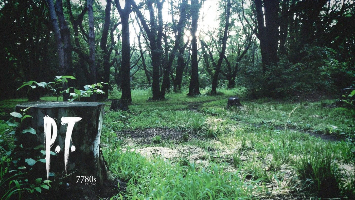 P.T. se vrací na PC