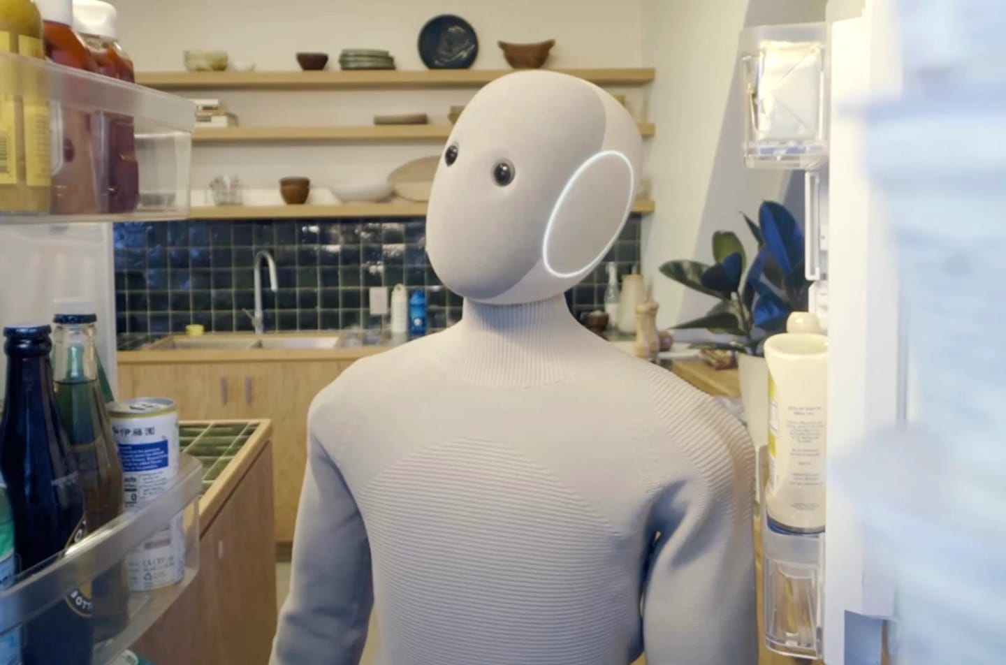 Neo robot