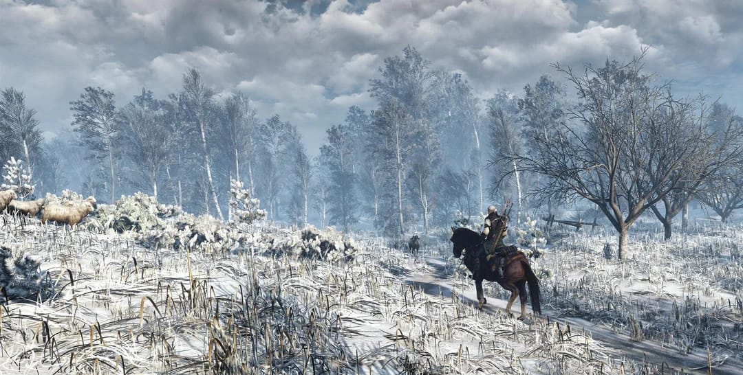 The Witcher 3: Wild Hunt