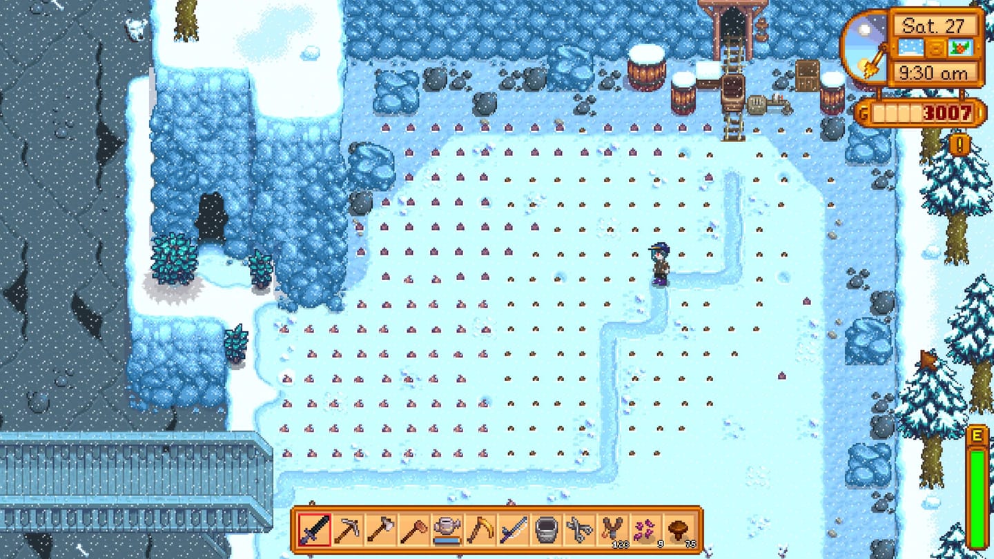 Stardew Valley