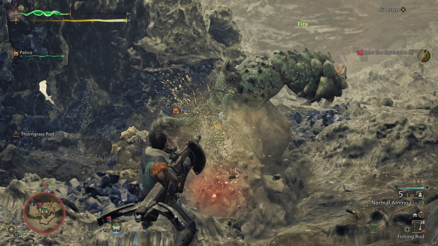 Monster Hunter Wilds_20250225170842