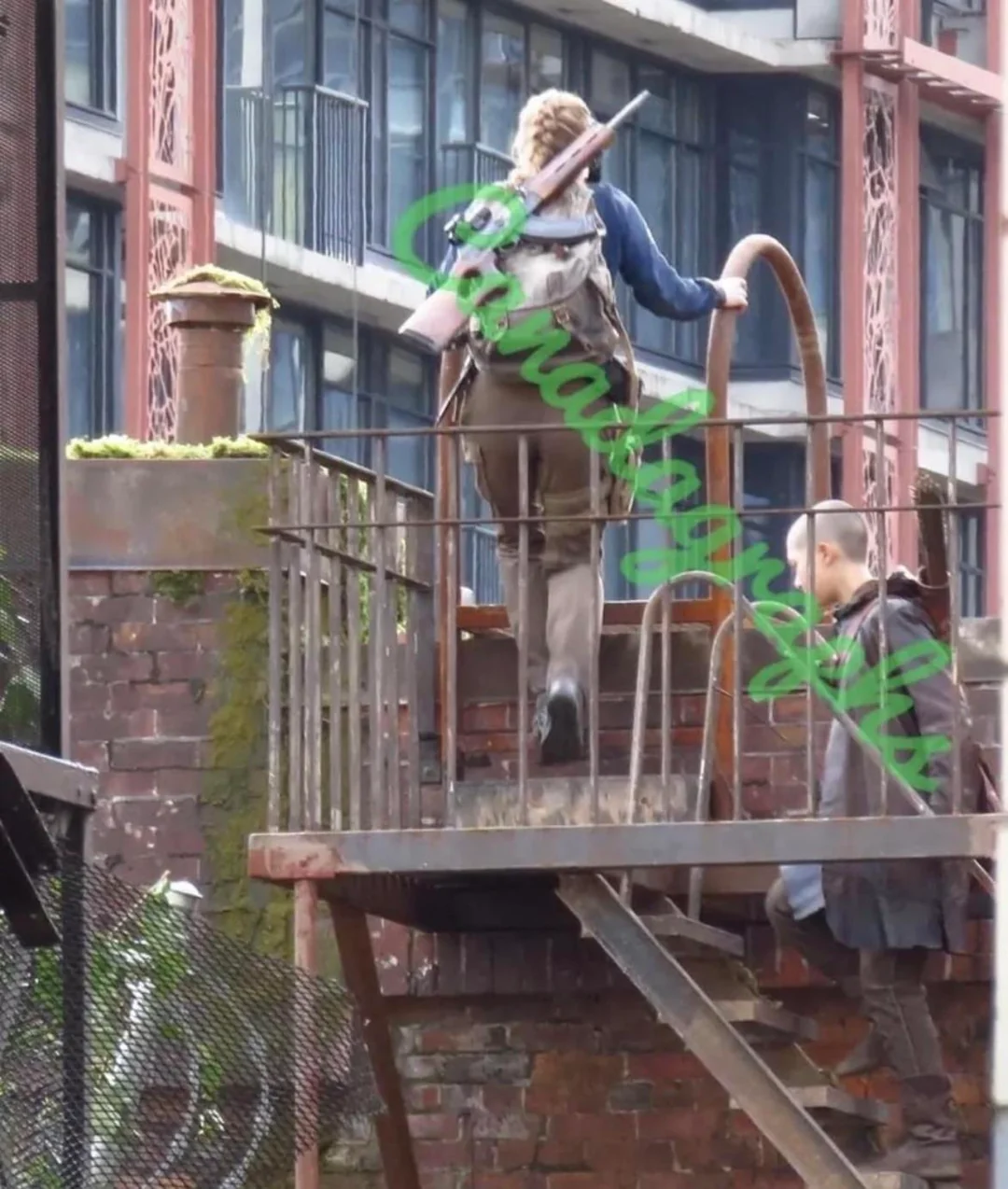 The Last of Us