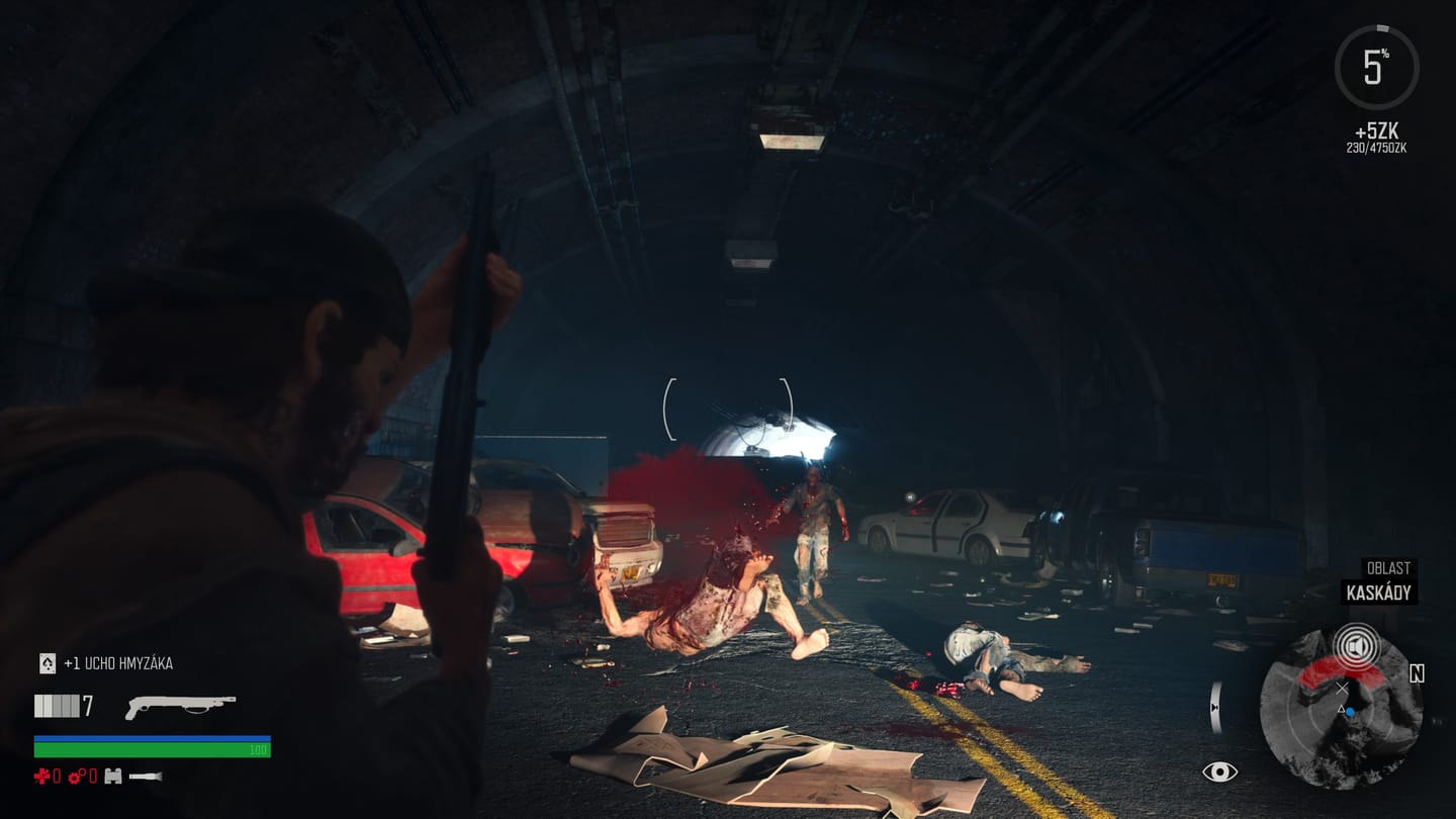 Days Gone_ Remastered_20250508111917
