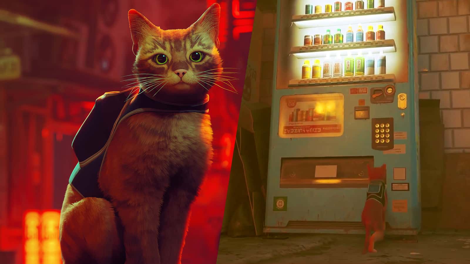 Kočičí dobrodružství Stray dorazí na Nintendo Switch. Kompromisy jsou hodně znatelné